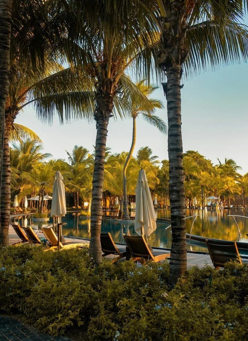 Dodo Relocations team in Mauritius
