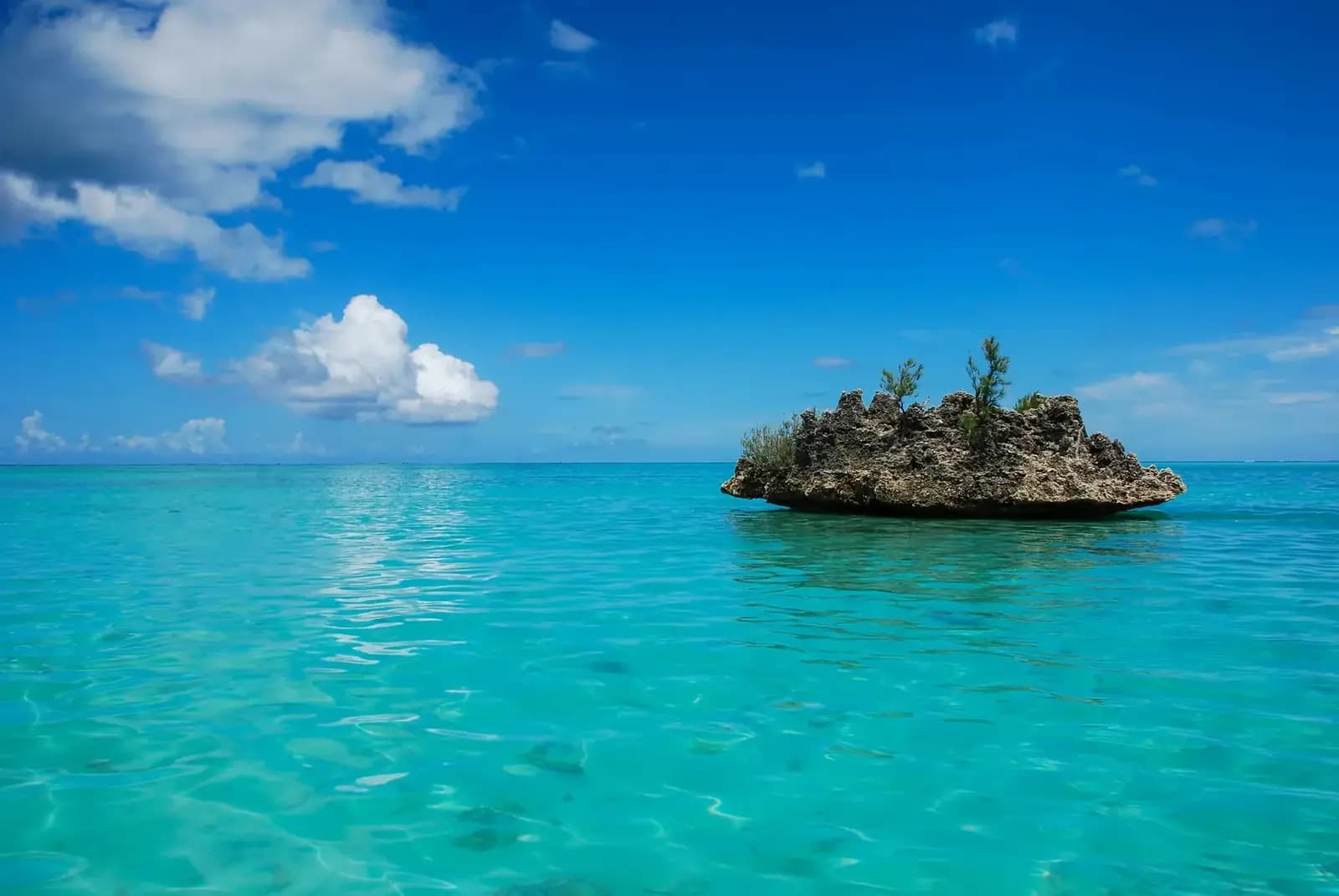 Crystal turquoise lagoon Mauritius — meet the Dodo Relocations team